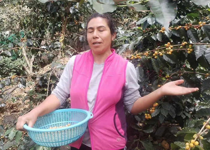 Salkantay Majestic Domes Eco